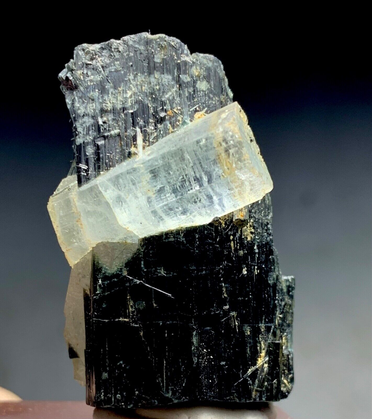 66 Carat Aquamarine Crystal Specimen from Pakistan