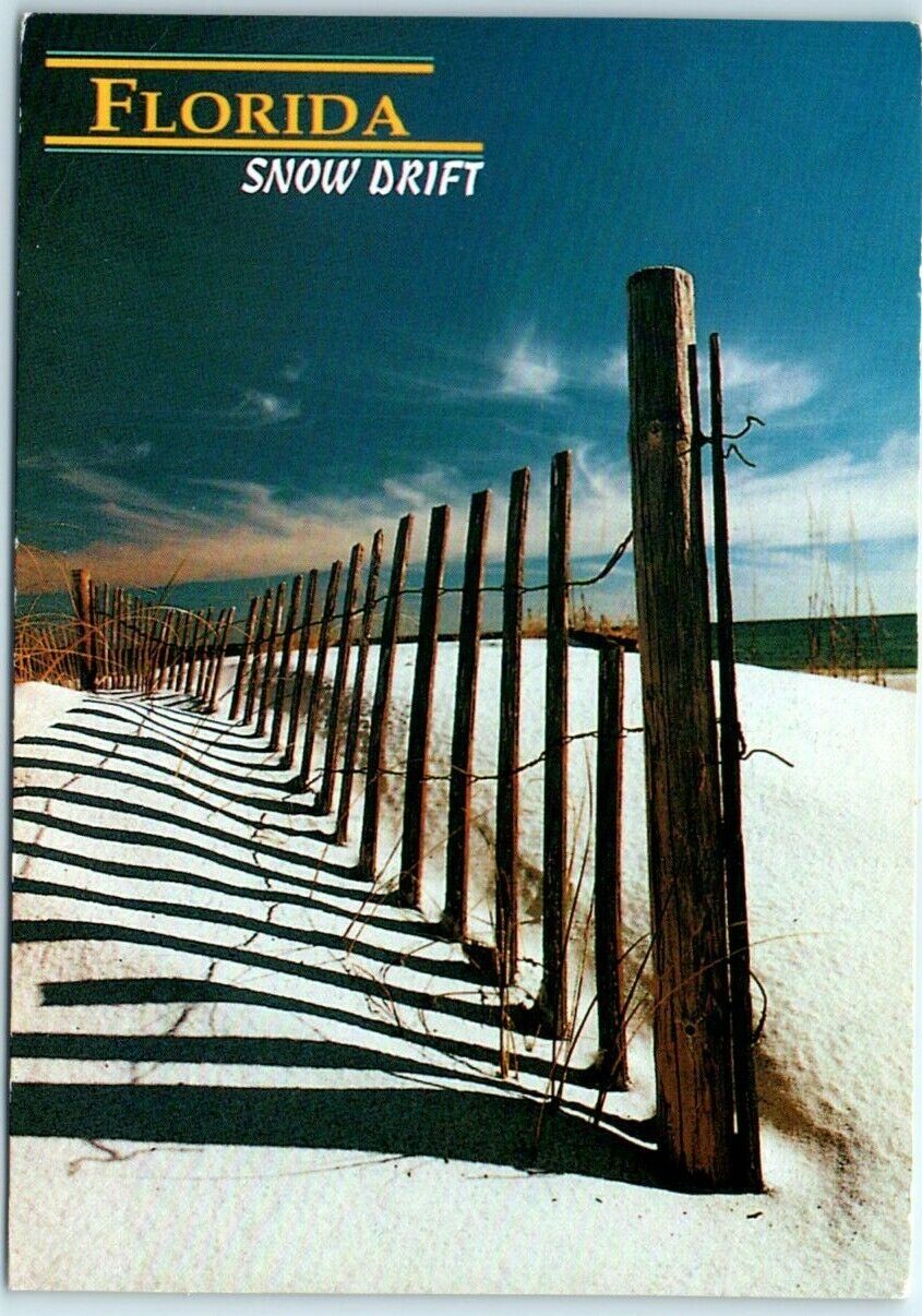 Postcard - Snow Drift - Florida