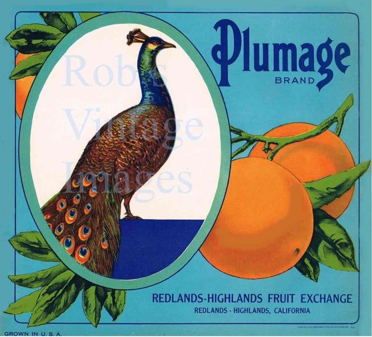 Redlands Highlands California Plummage Fruit Crate Label Art Print