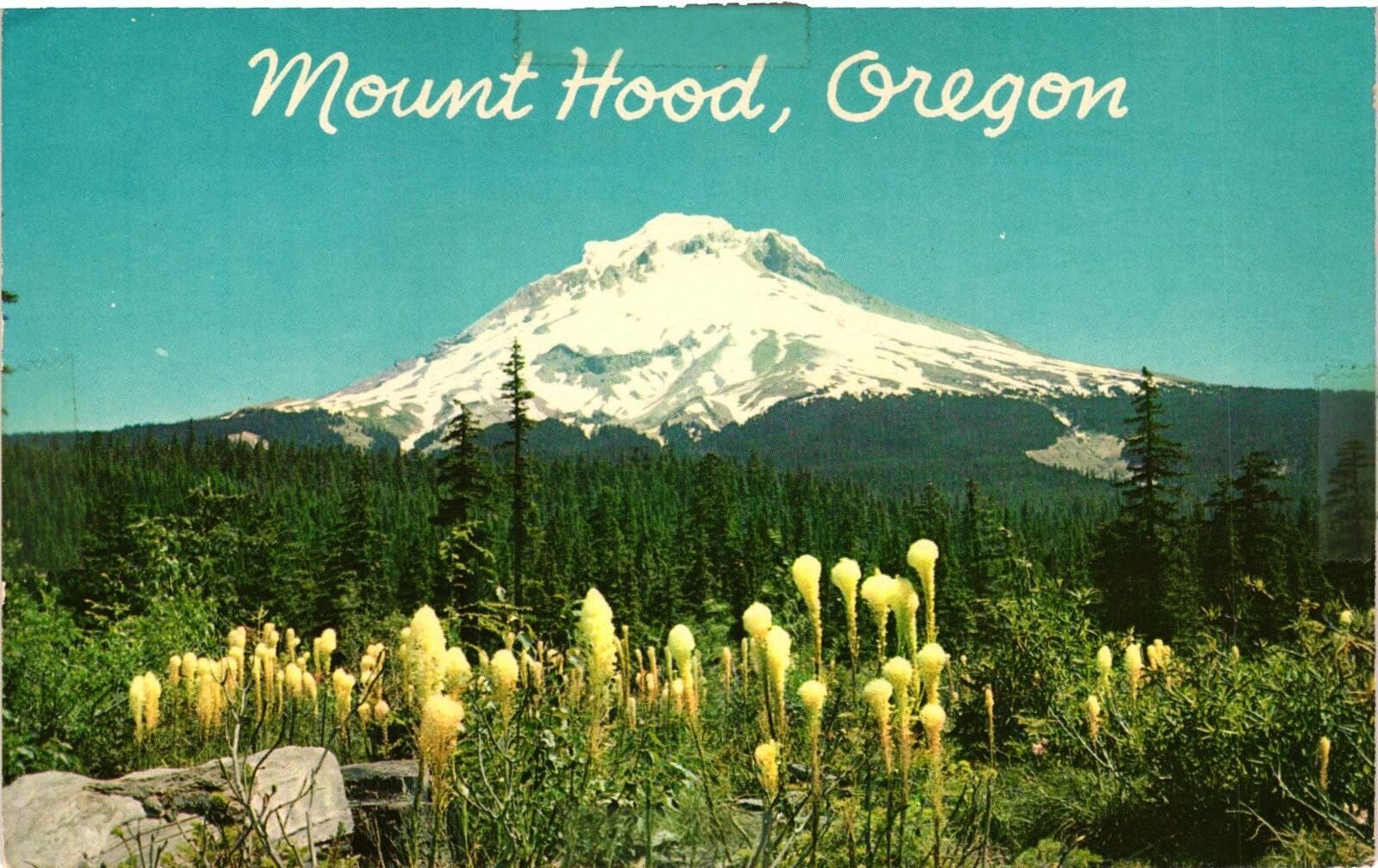Vintage Postcard- Mount Hood, Oregon.