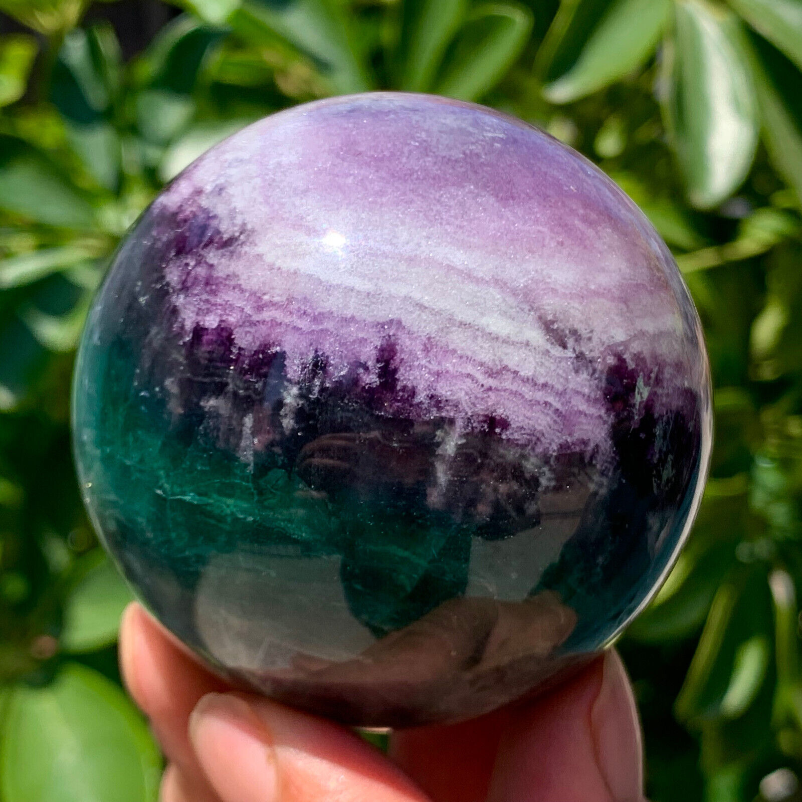 405G Natural beautiful colorful fluorite quartz crystal ballsphere healing