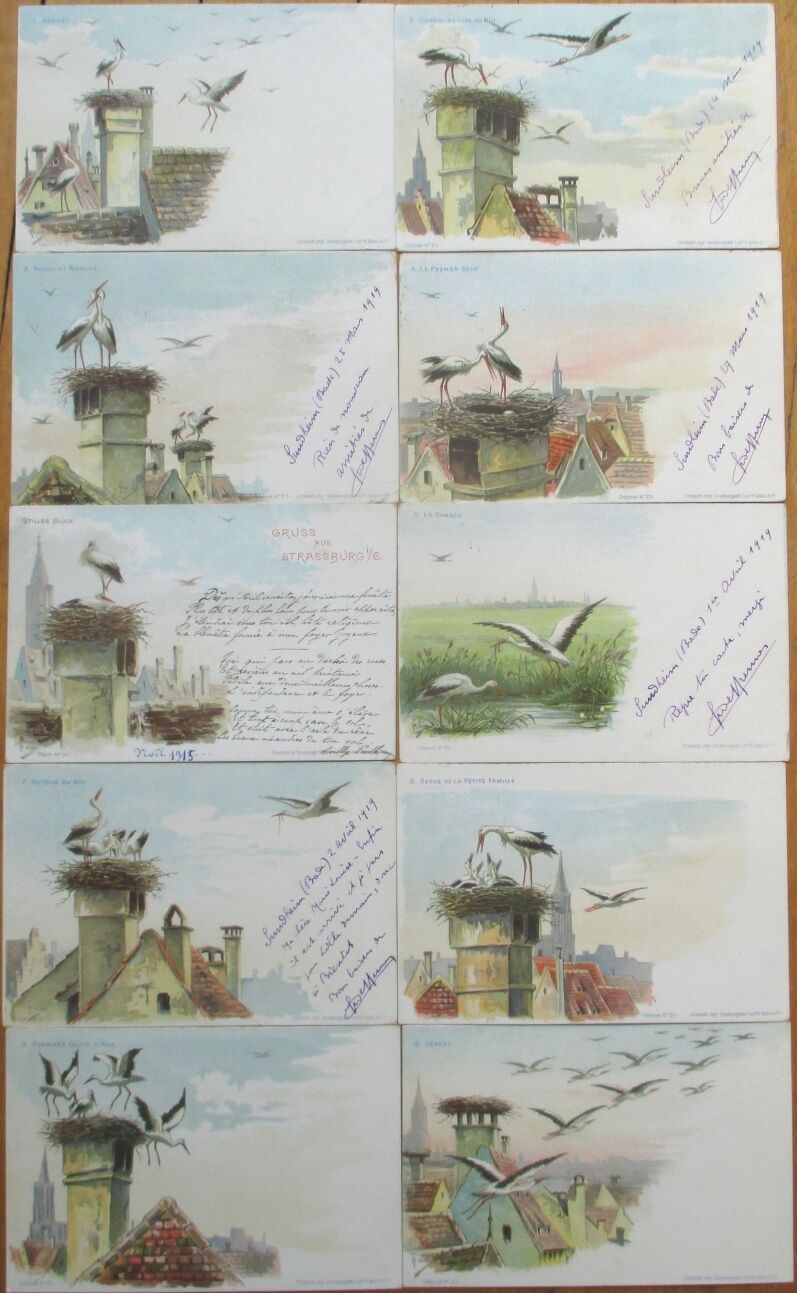 STORKS: 1902 Series of TEN Color Litho Postcards - Nest