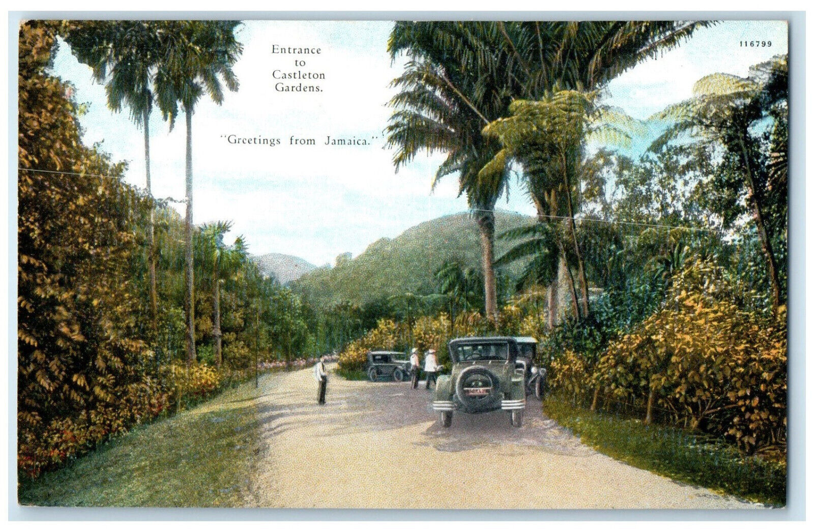 c1910 Entrance to Castleton Gardens Greetings from Jamaica Unposted Postcard
