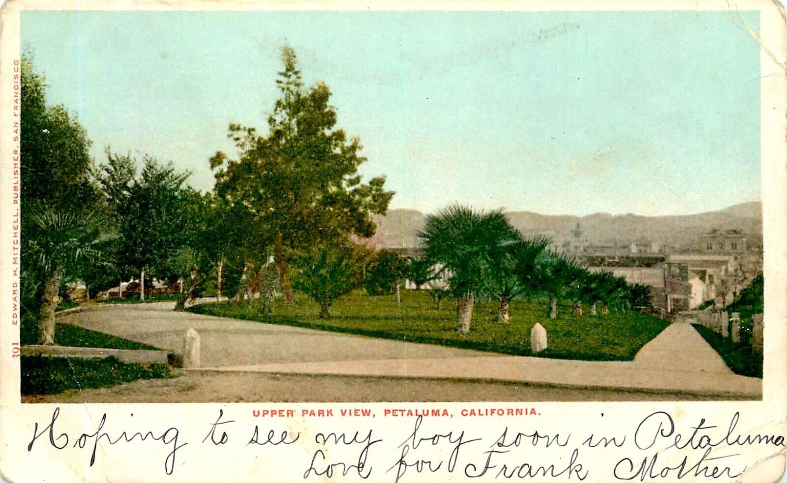 UPPER PARK VIEW c 1905, PETALUMA, CALIFORNIA, VINTAGE POSTCARD (SX 984)