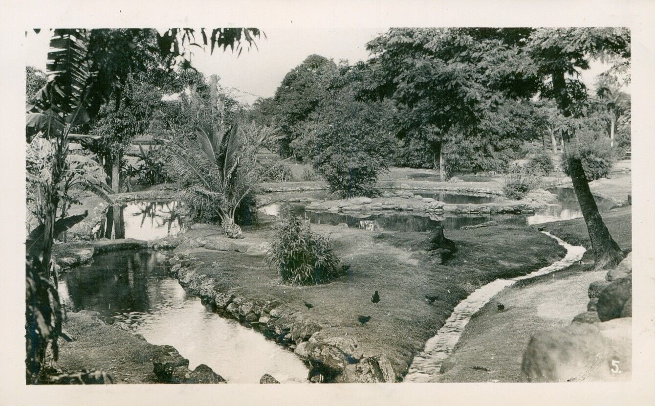 Late 1930s-1945 Hawaii Photo #35 park
