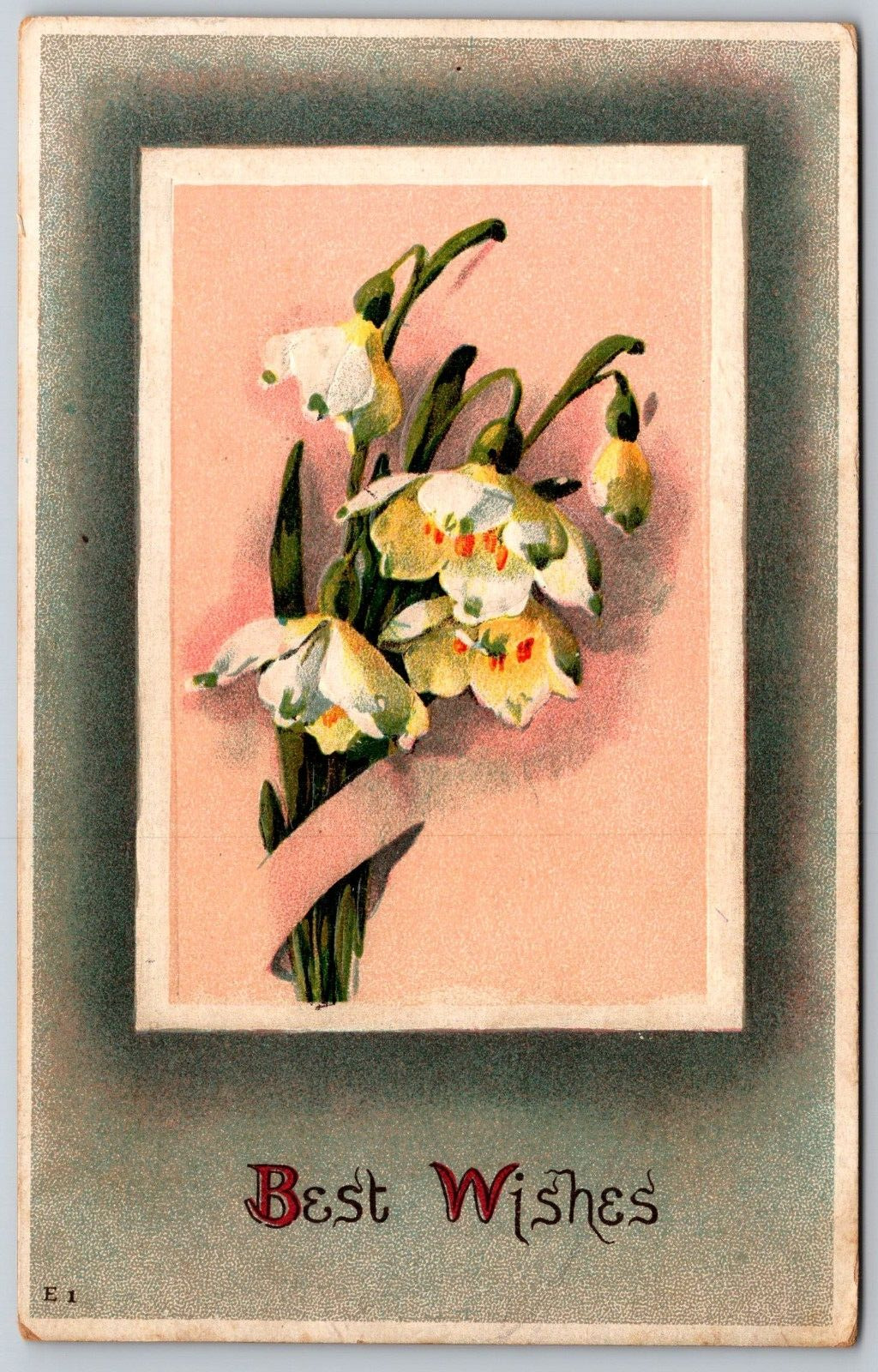 Postcard Best Wishes Summer Snowflake White Flowers Winsch Back 1911