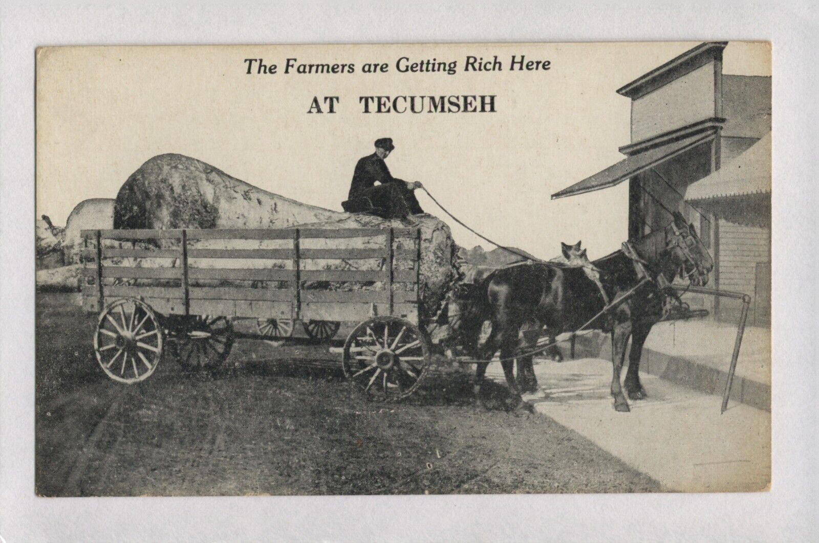 Rare 1910 Exaggeration Postcard Tecumseh Michigan Farmer Driving Huge Potatoes