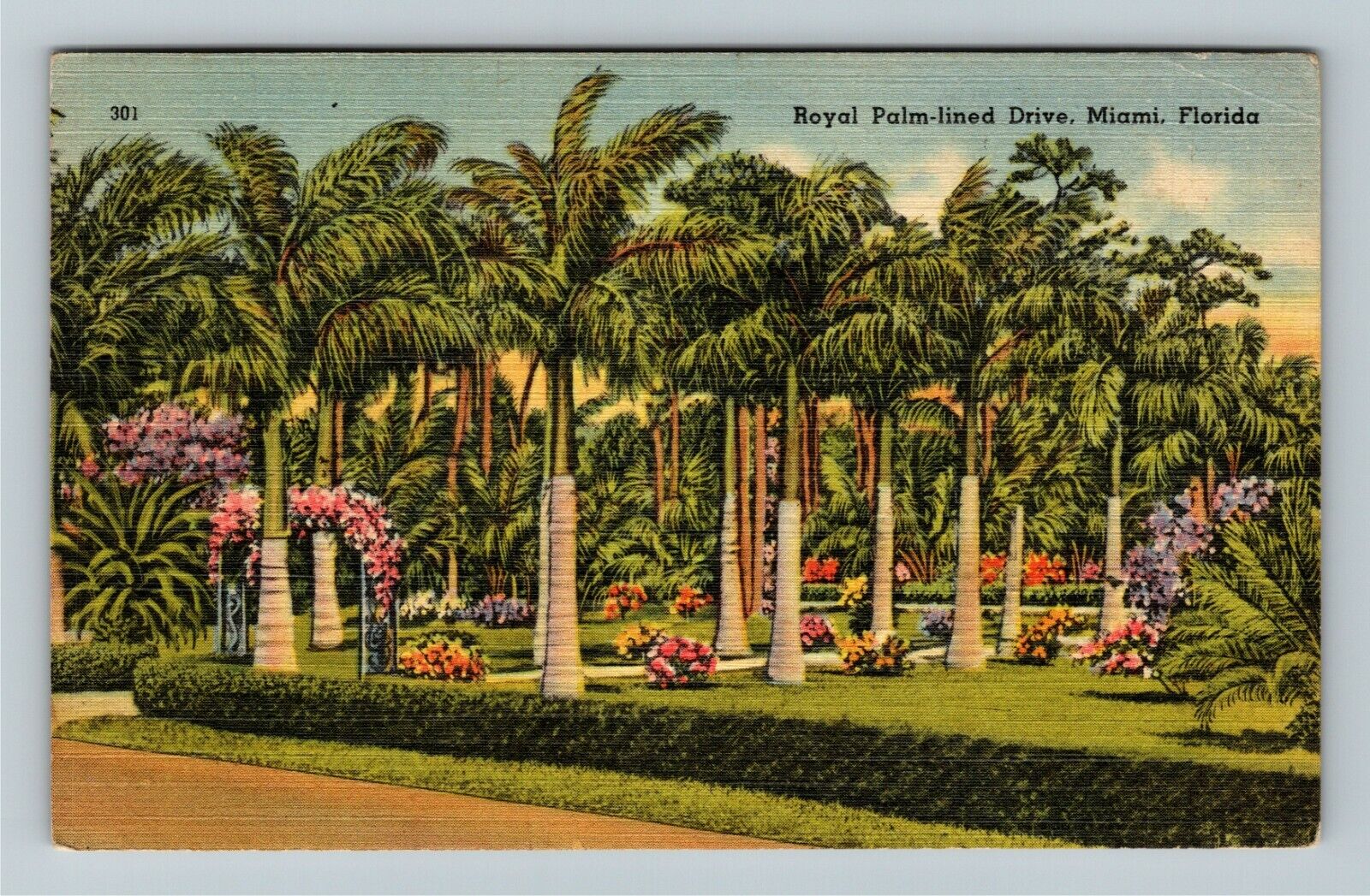 Miami FL-Florida, The Stately Royal Palm lined Floral Pathway, Vintage Postcard