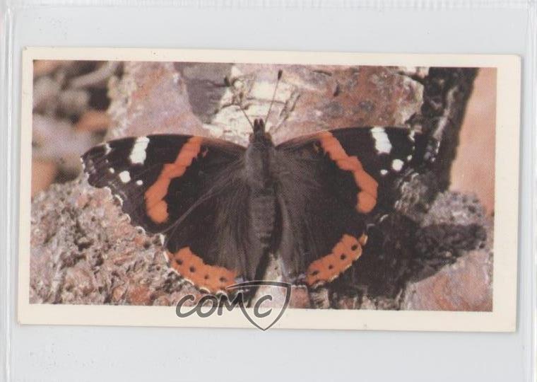 1983 Grandee British Butterflies Red Admiral #8 1i3