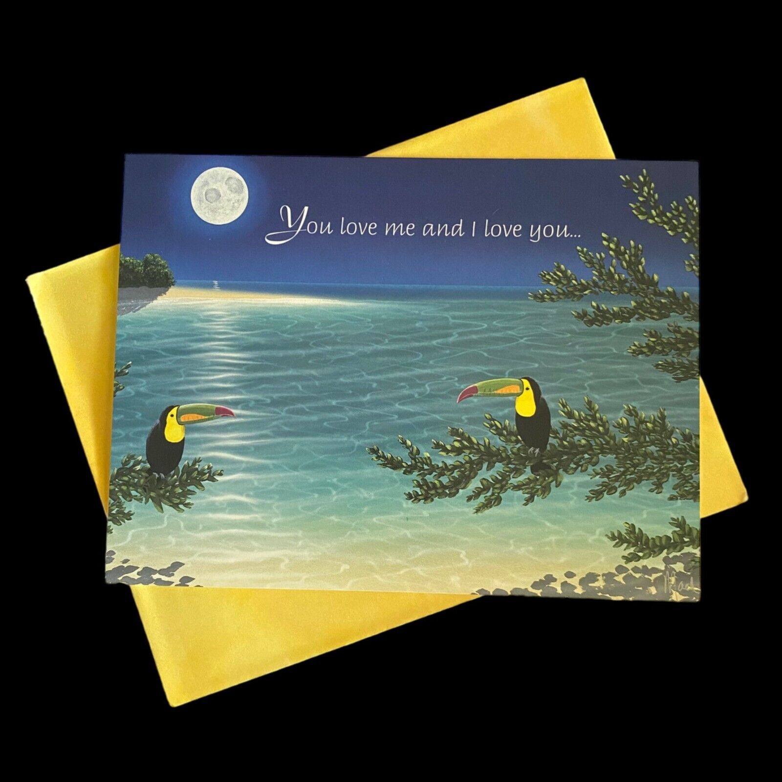 LOVERS ON LIMBS Dan Mackin VTG Greeting Cards Toucans Moon Mangrove Ocean NOS
