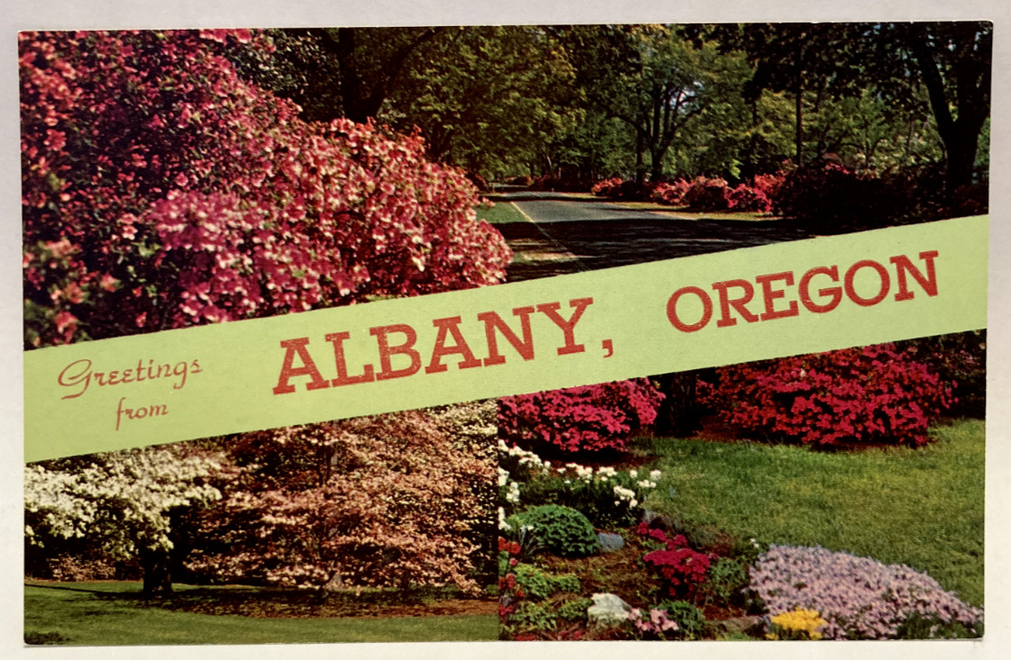 Greetings from Albany, Oregon OR Vintage Banner Postcard
