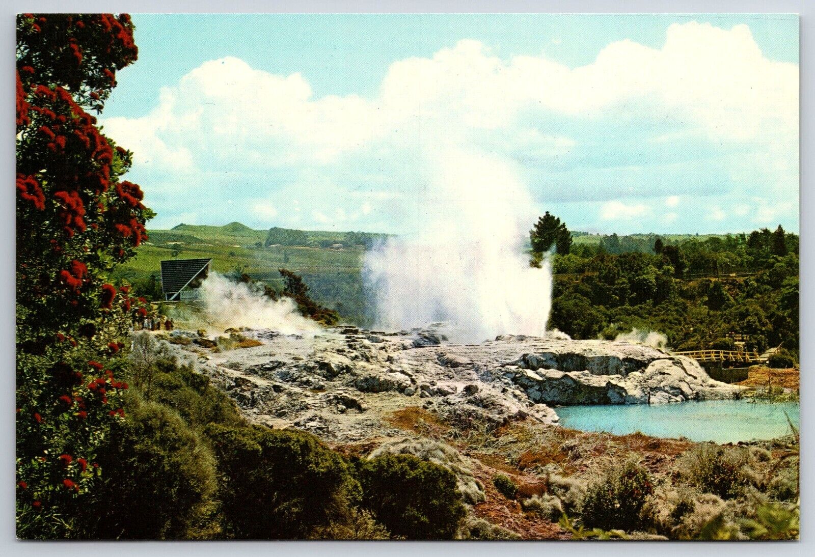 Pohutu Geyser Rotorua New Zealand Vintage Postcard
