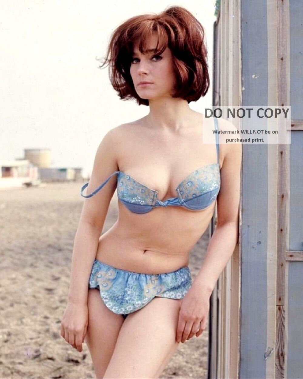 SHIRLEY ANNE FIELD ENGLISH ACTRESS PIN UP - 8X10 PUBLICITY PHOTO (MW311)