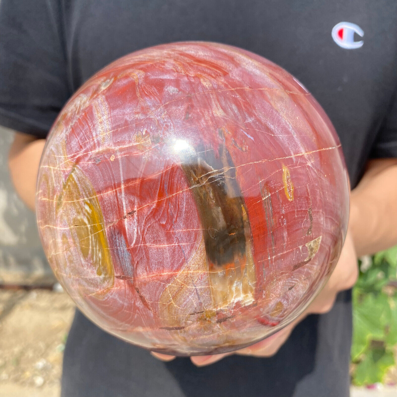 7.6lb Natural Petrified Wood Crystal Ball Fossil Polished Sphere Specimen