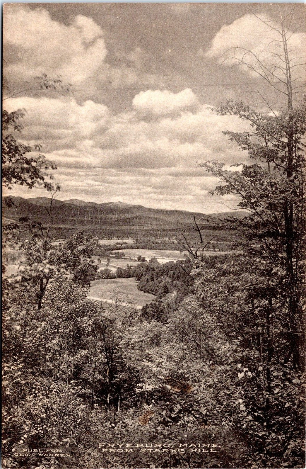 Fryeburg, Maine from Starks Hill - Albertype Photo Postcard