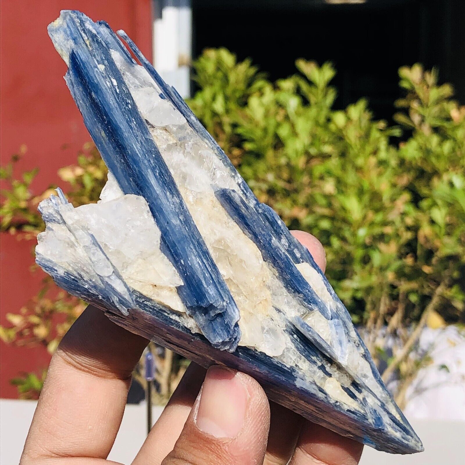 153g Rare Natural Blue Kyanite Quartz Crystal Mineral Rough Specimen Healing