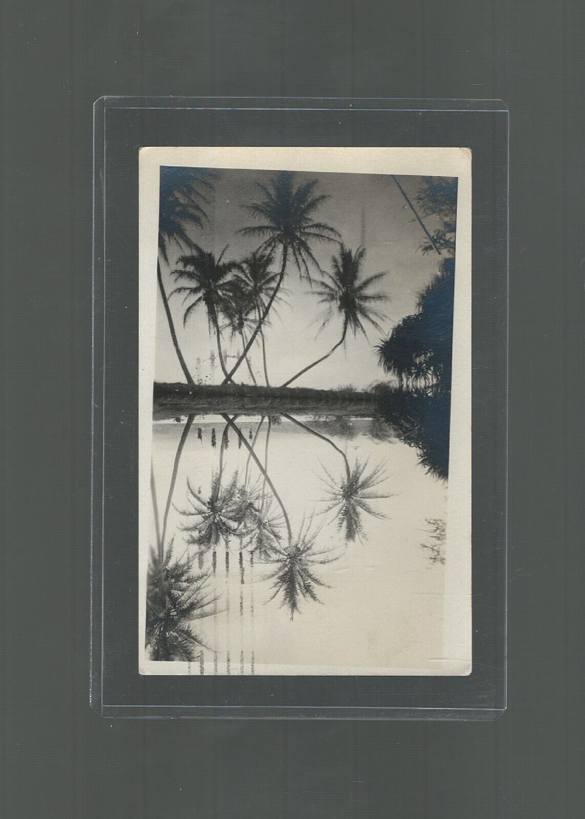 Postcard Honolulu Hawaii to San Francisco RPPC Coconut Tree Reflection 1924