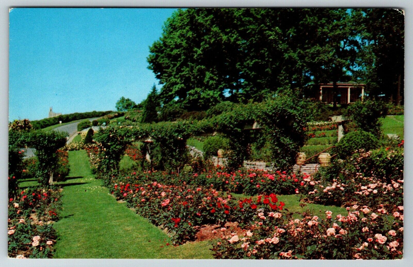 Hershey Rose Garden Terraces Hershey, Pennsylvania Vtg Postcard PA 
