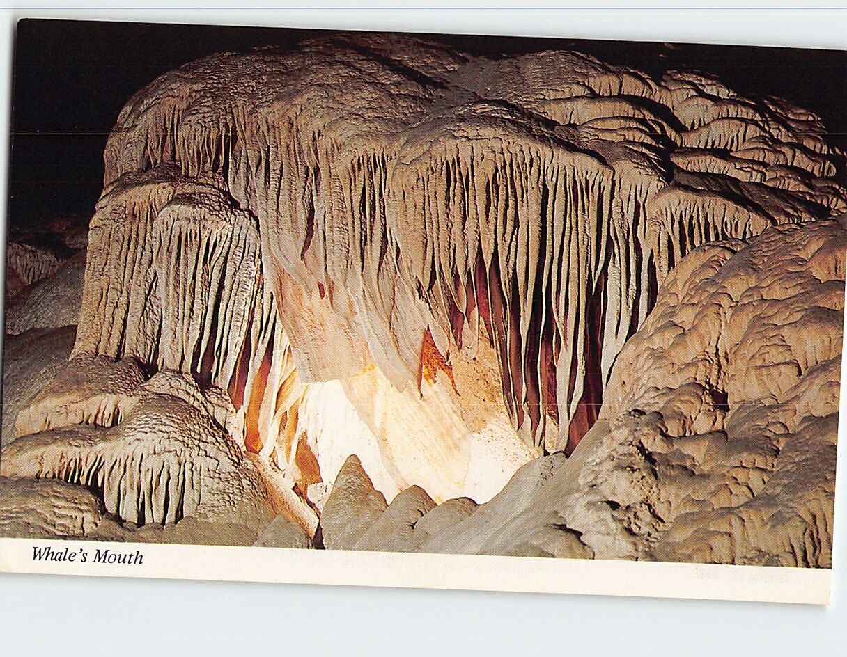 Postcard Whale\'s Mouth, Carlsbad Caverns National Park, Carlsbad, New Mexico