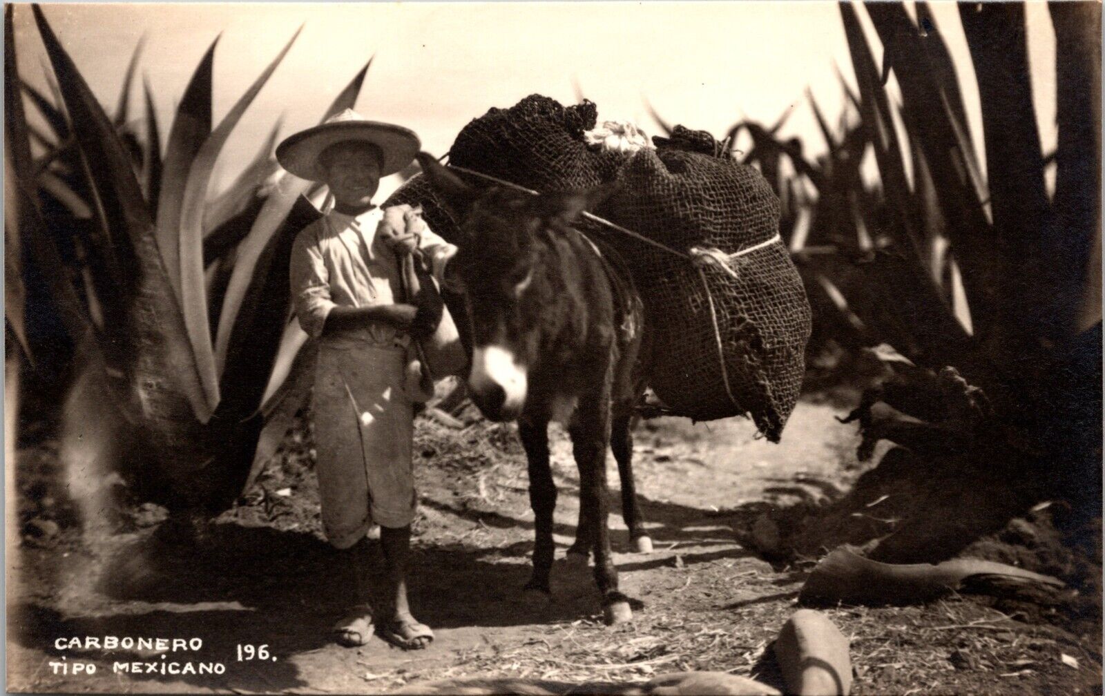 RPPC POSTCARD-MEXICO~1940's  CARBONERO  TIPO MEXICANO ~ Young Boy With Burro