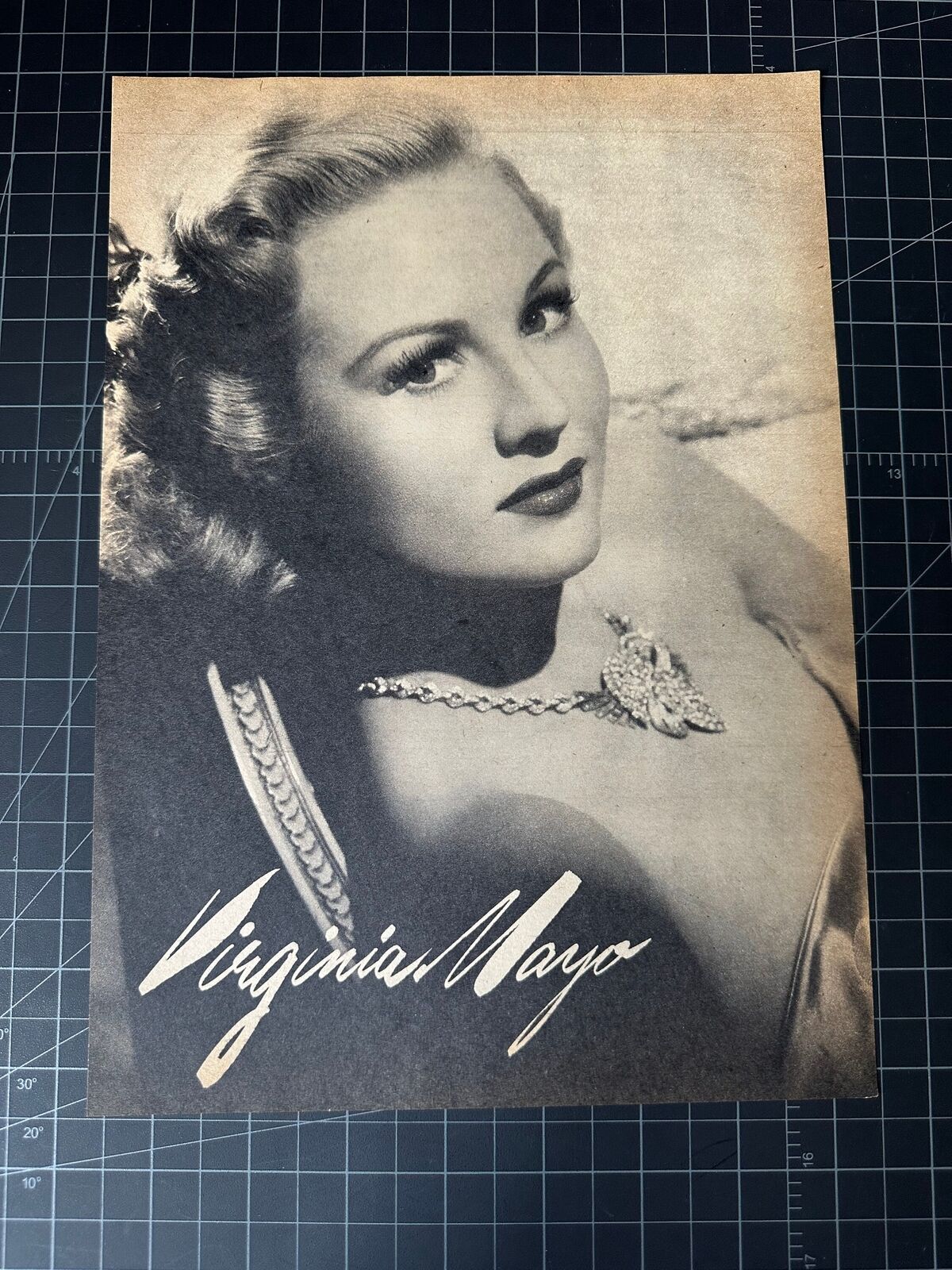 Vintage 1940s Virginia Mayo Portrait