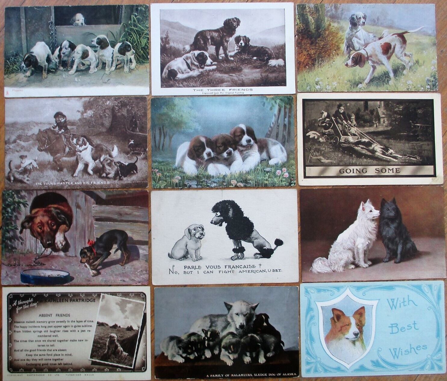 Dog/Dogs/Puppy SET OF SIXTY-SIX 1905-1920 Postcards - Puppies - Collection