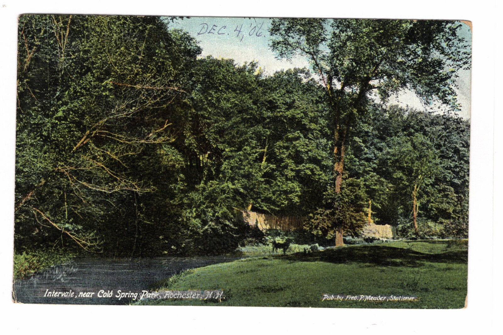 Vintage Postcard NH Rochester Intervale near Cold Spring Park c1906 -*1610