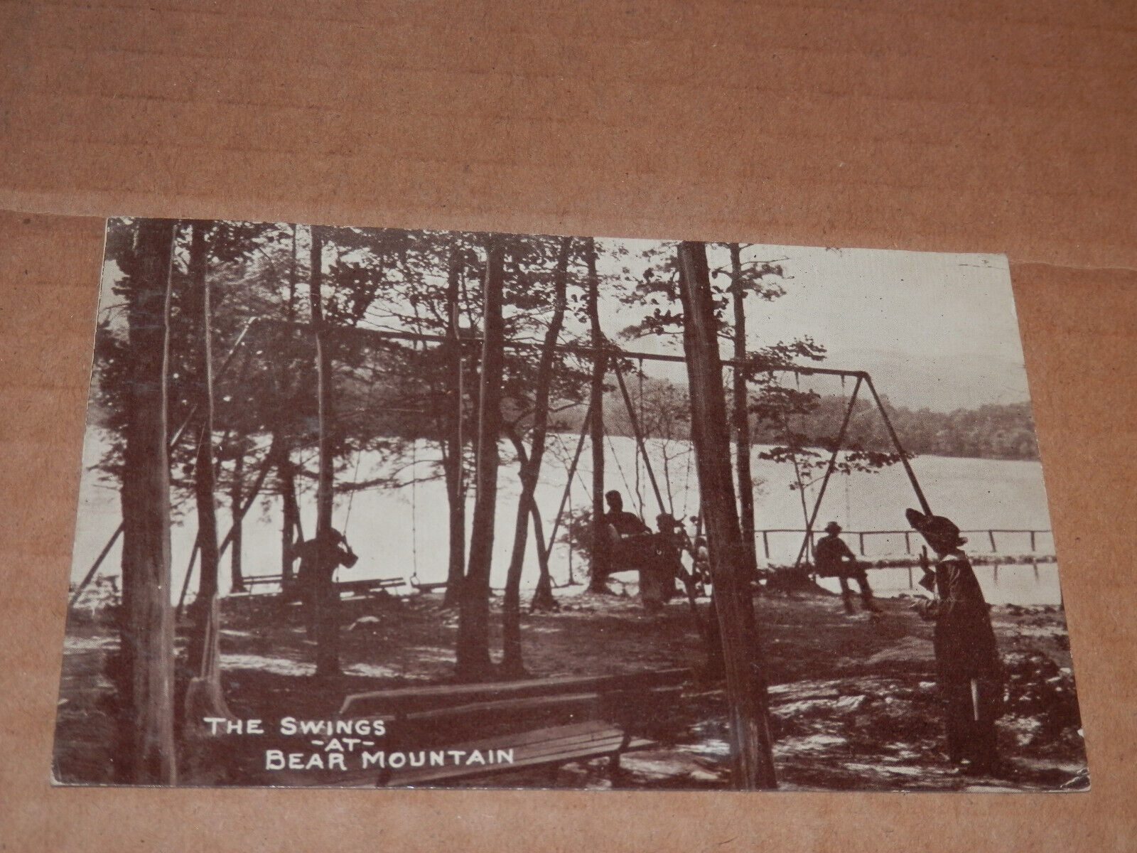 STONY POINT NY - 1916 POSTCARD - IONA ISLAND - SWINGS at BEAR MOUNTAIN