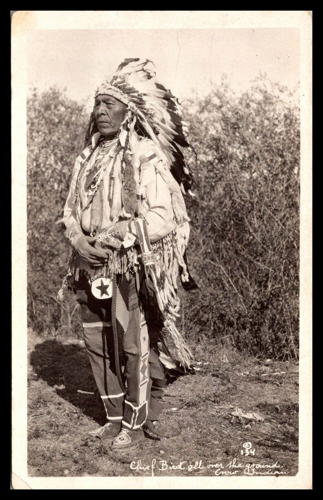 c1920s RPPC Post Card. Crow Indian Chief, Bird All Over The Ground.