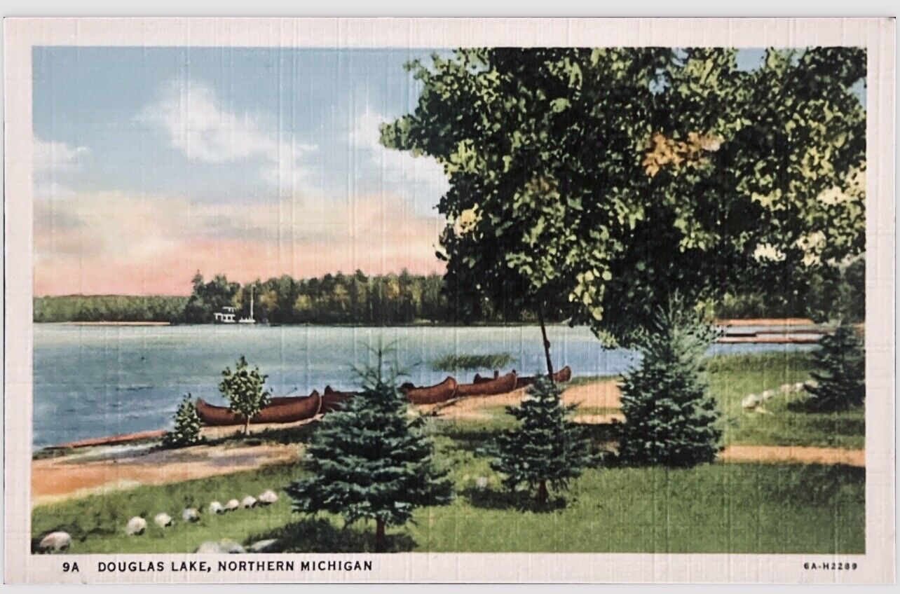 Douglas Lake Norther Michigan Linen Postcard Canoes Summer Cheboygan County
