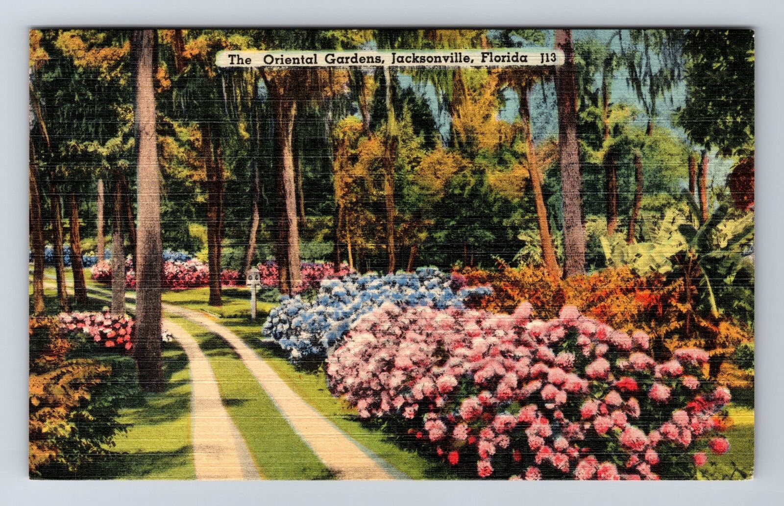 Jacksonville FL-Florida, an Jose Boulevard Oriental Gardens, Vintage Postcard