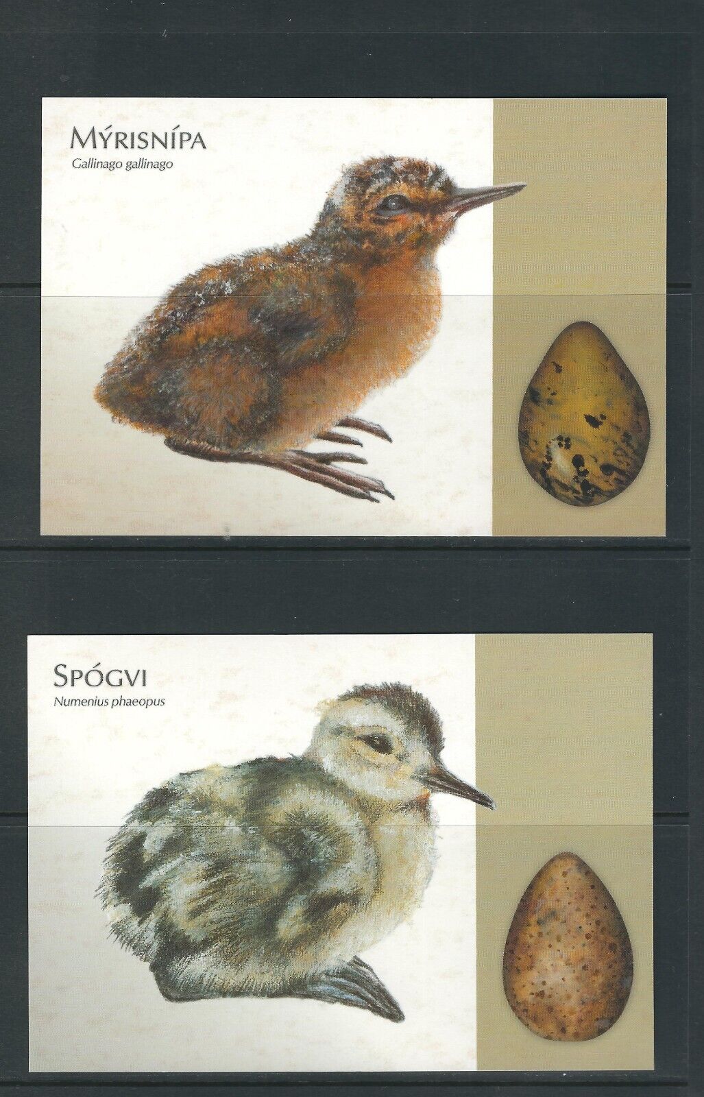 Faroe Island  .  Birds - Chicks - Four different Post cards , Postally unused..