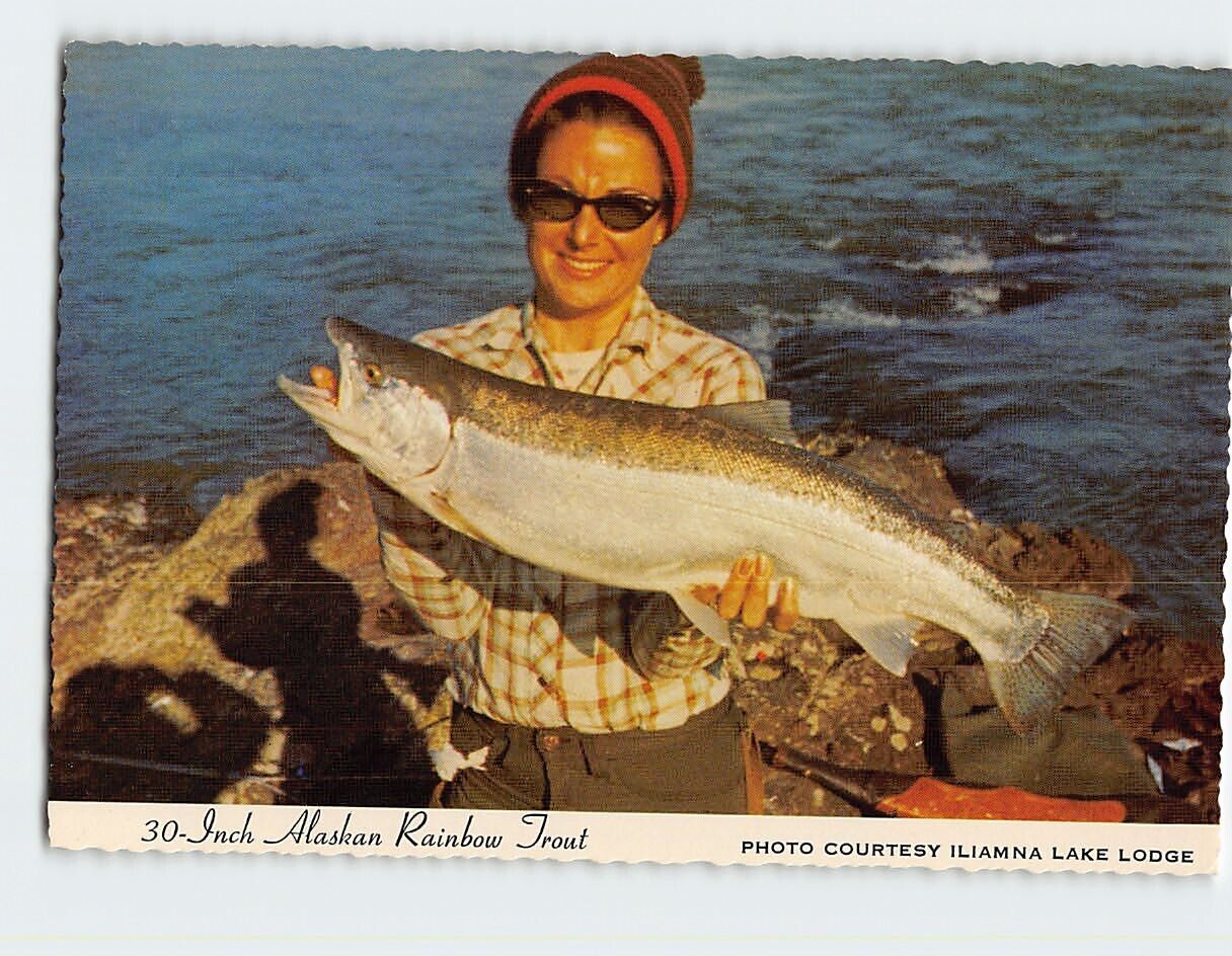 Postcard A Fisherman\'s Delight 30-inch Rainbow Trout Alaska USA