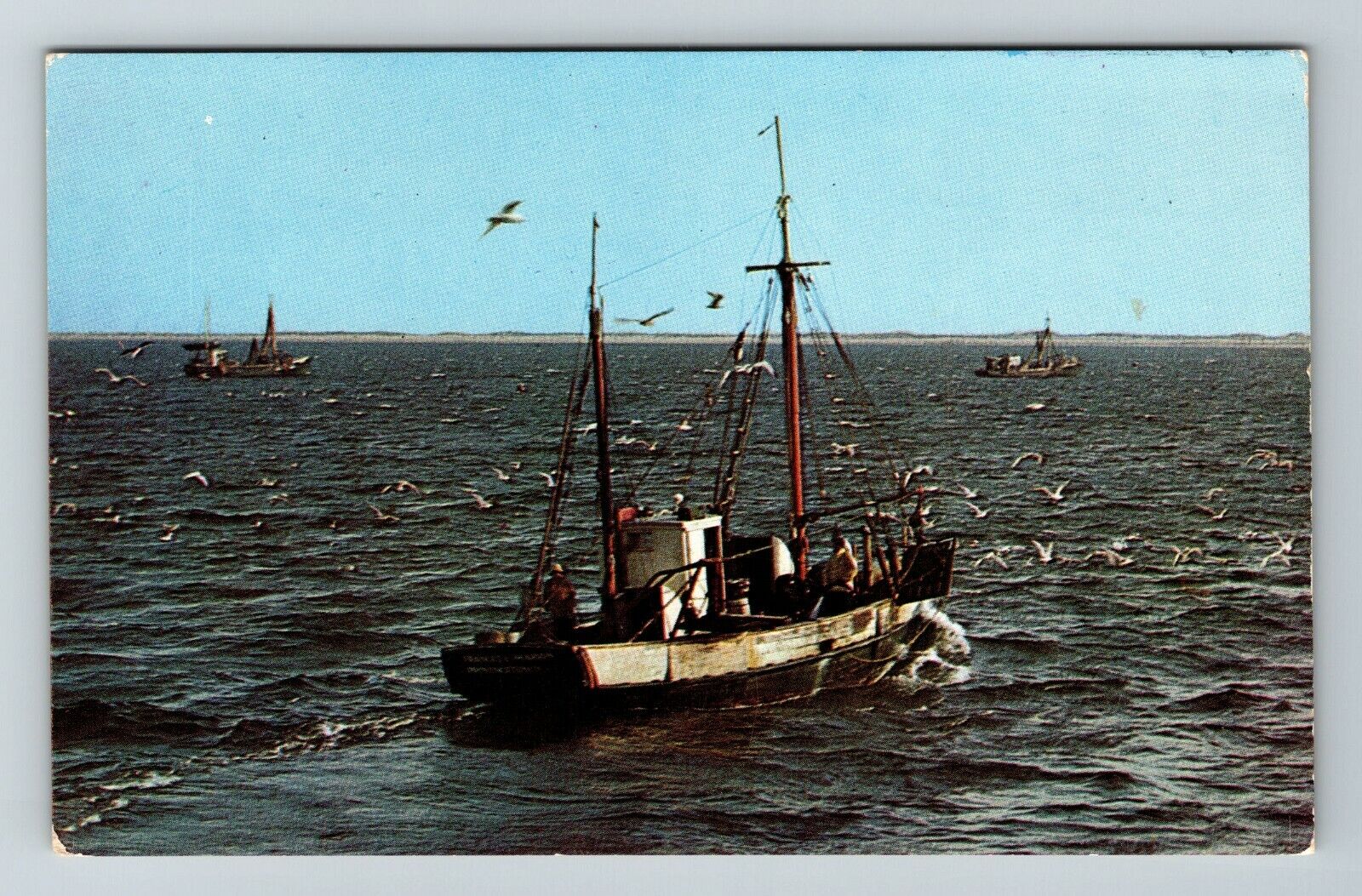 Cape Cod MA-Massachusetts Dinnertime For The Gulls Boat View Vintage Postcard