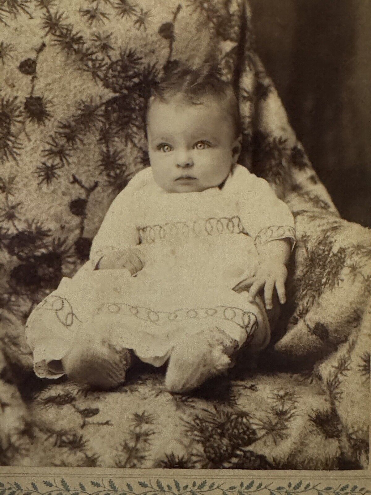 1880s Pretty Kansas KS Baby Big Bright Eyes Cabinet Card Photo 