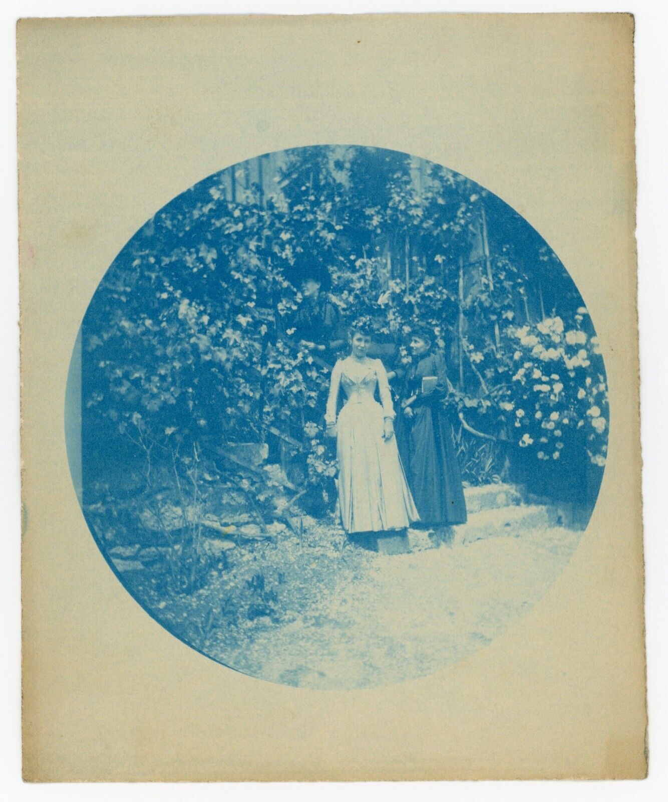 Vintage 1890 Early Kodak Camera Cyanotype Vernacular Photograph Women in Garden