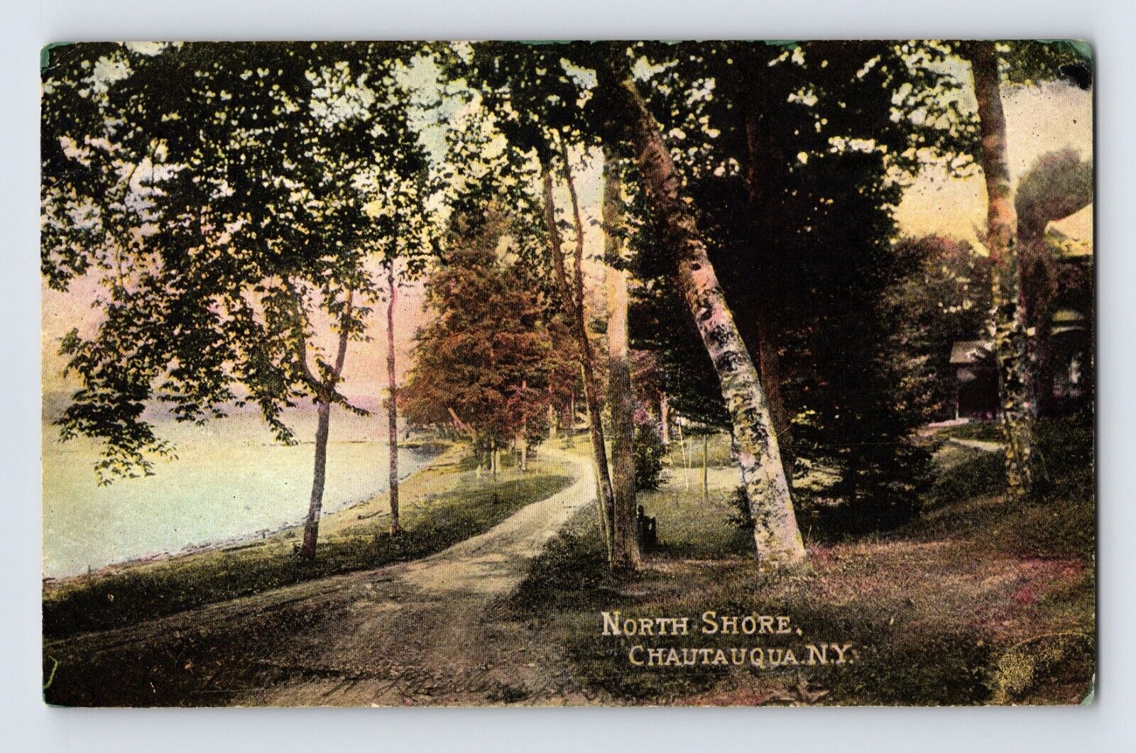 Postcard New York Chautauqua NY North Shore Birch Tree Pre-1907 Unposted
