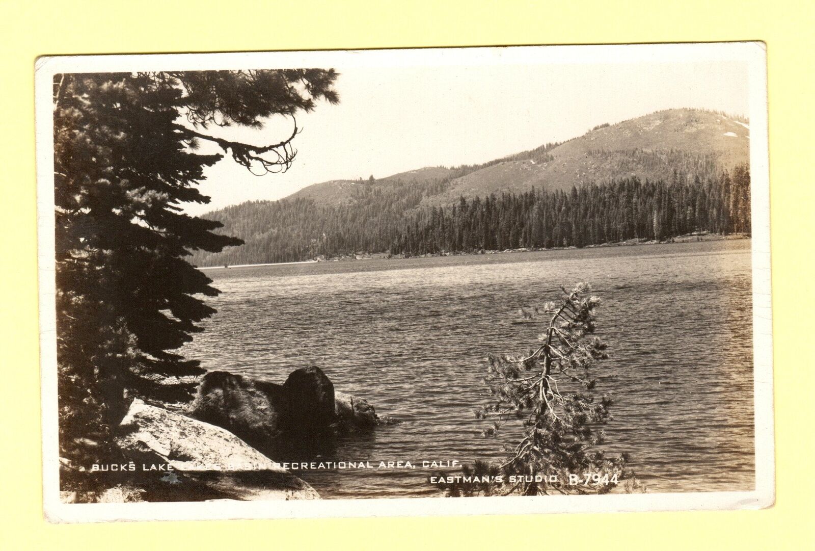 Bucks Lake Lake Basin Recreational Area California 1950\'s Postcard RPPC