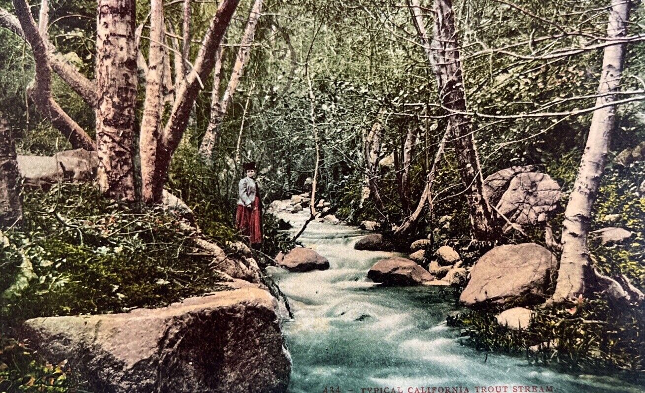 Woman Standing By Typical Trout Stream 1909 California CA Postcard