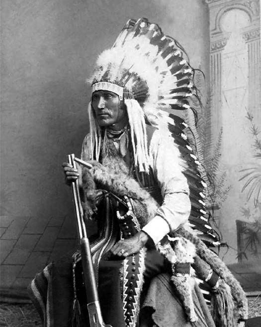 Native American Indian CHIEF LONE WOLF Glossy 8x10 Photo Kiowa Print Old West