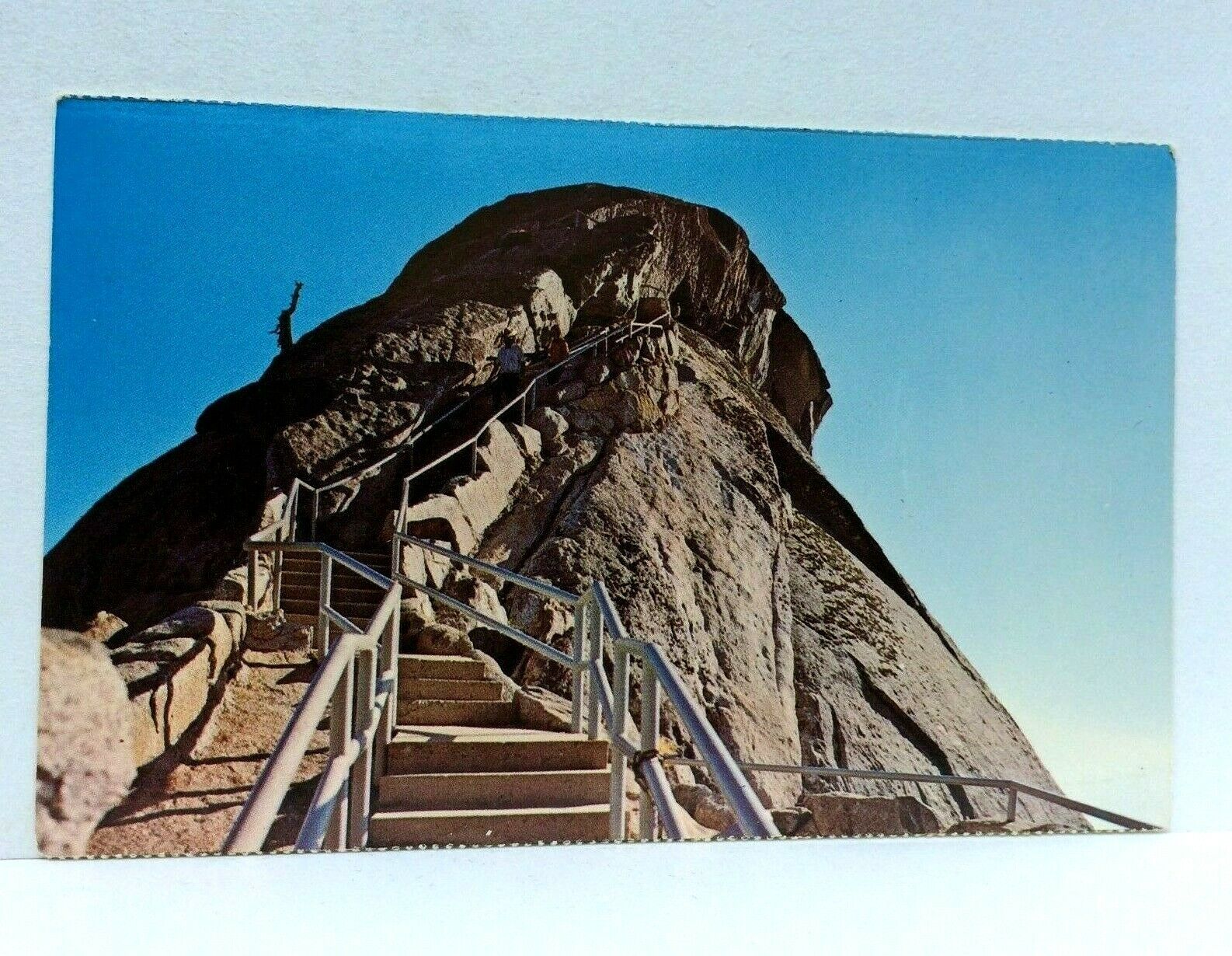 Sequoia National Park California CA Moro Rock Postcard