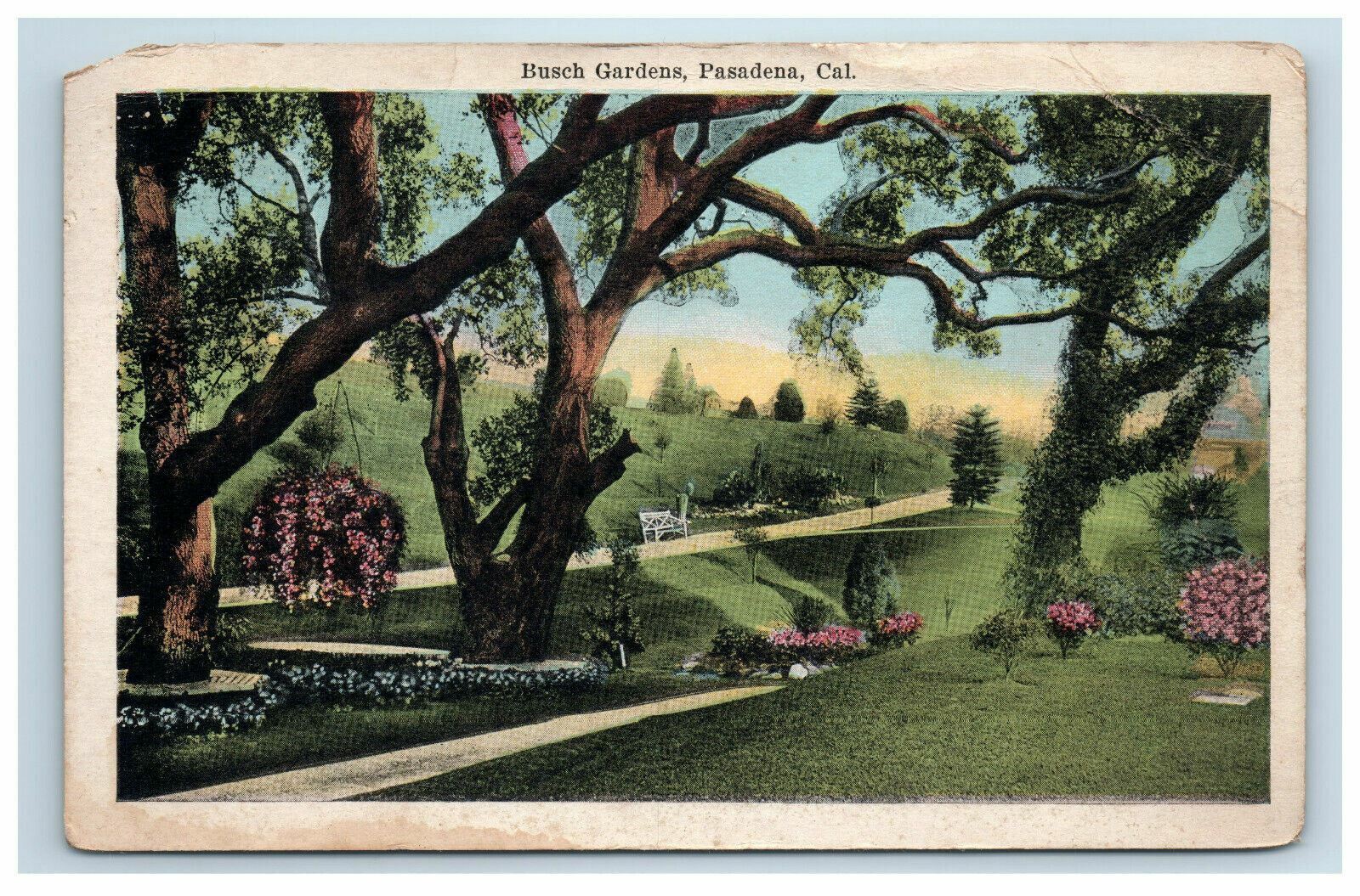 1921 Busch Gardens Pasadena California Postcard Postmark