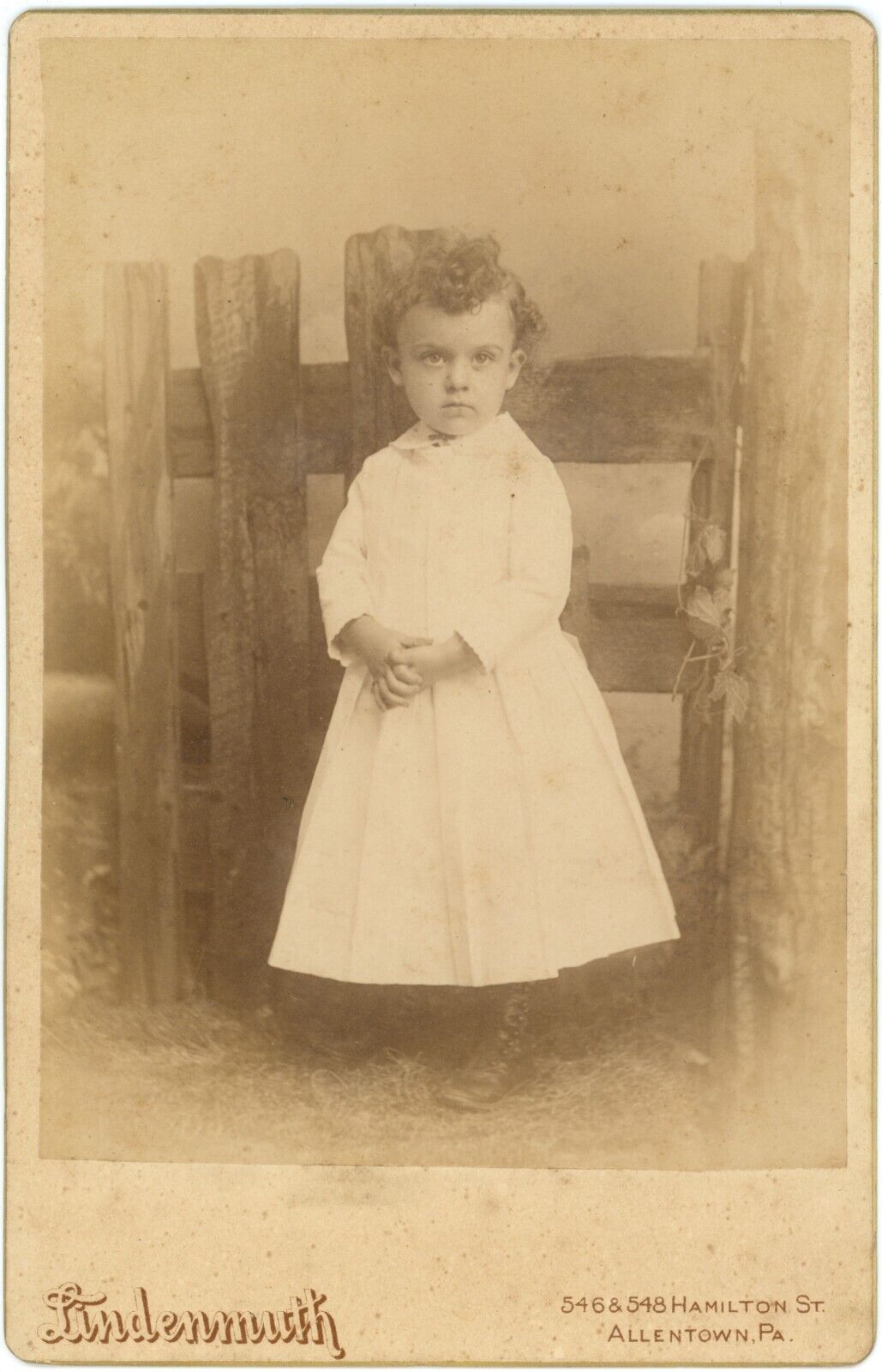 CIRCA 1890'S CABINET CARD Adorable 3 Year Old By Fence Lindenmuth Allentown PA