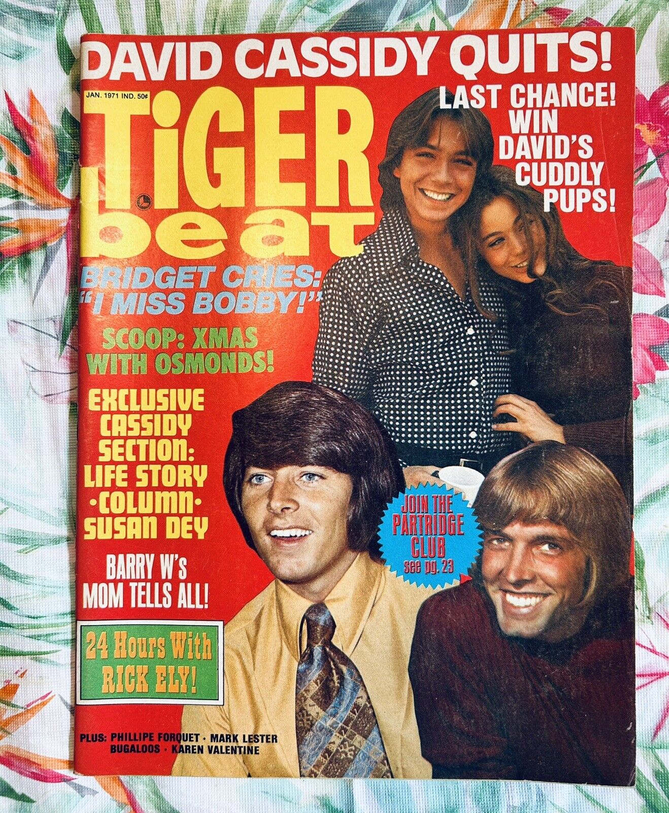 Tiger Beat January 1971 Vintage Magazine David Cassidy Bobby Sherman Rick Ely 