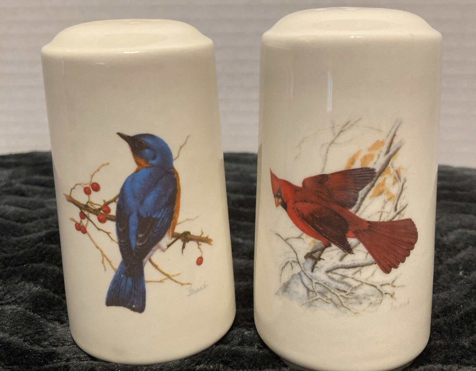 Vintage Charles Frace Porcelain Two Sided Birds scenes Salt And Pepper Shaker