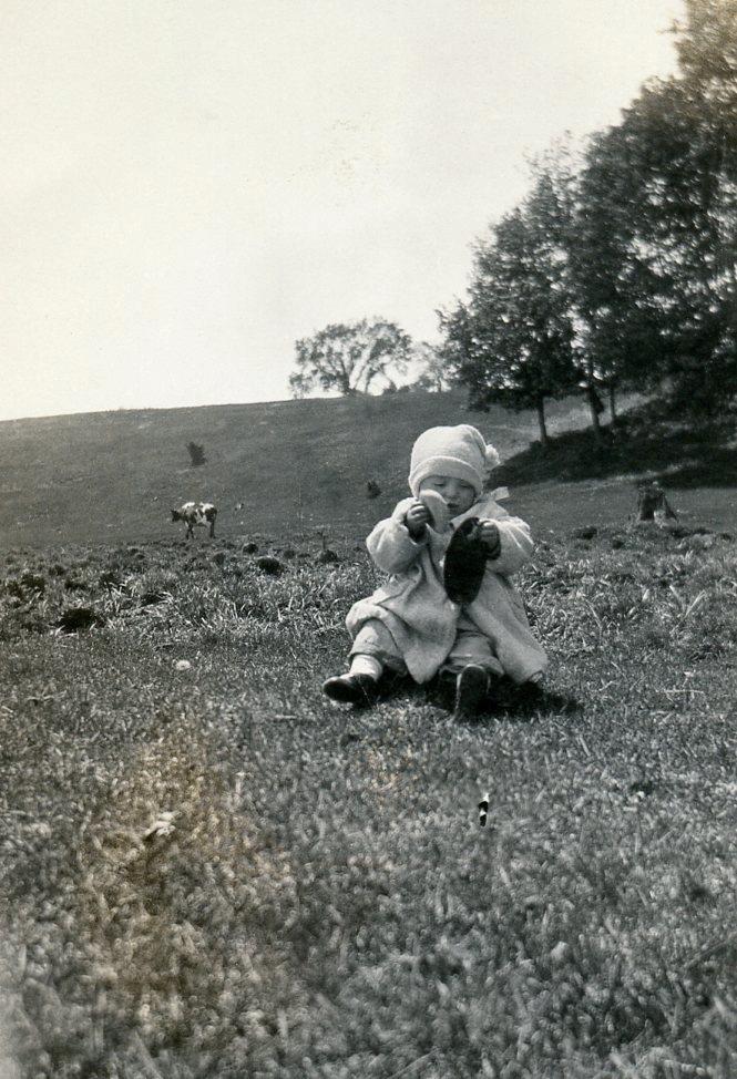 PP151 Vtg Photo BABY IN COW PASTURE c 1925