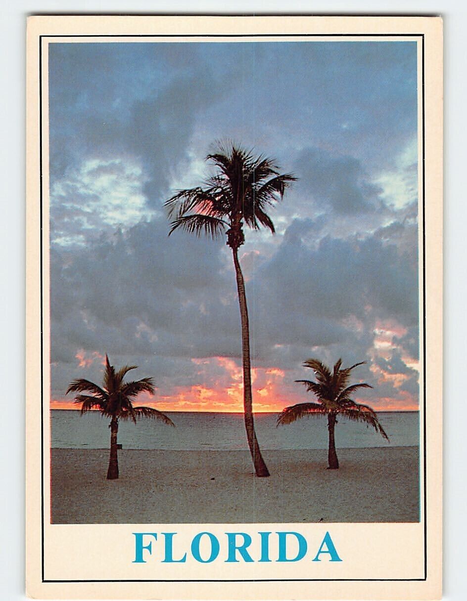 Postcard A Tropical Sunrise in Florida USA