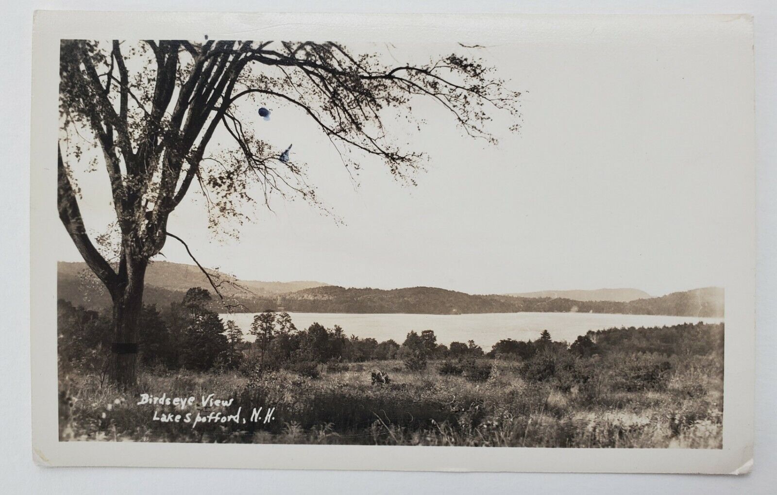 Chesterfield, NH Bird\'s-eye View of Lake Spofford RPPC Real Photo Postcard G39