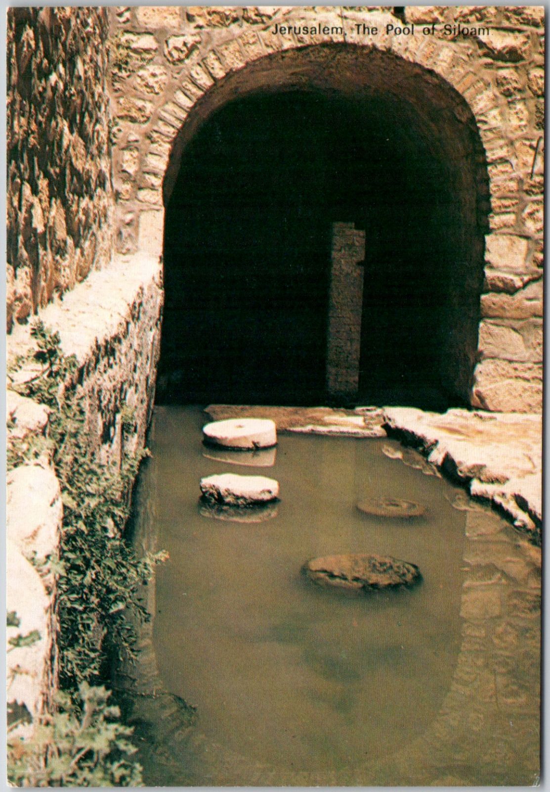 Pool Of Siloam Silo Jerusalem Israel Water Rocks Vintage Postcard