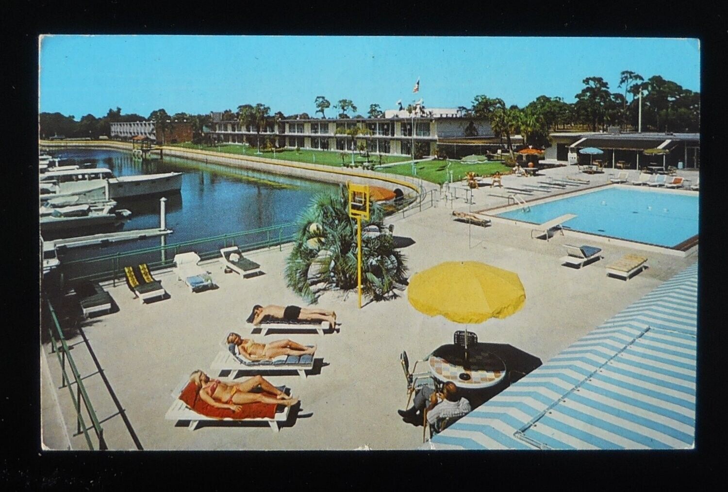 1973 Swimming Pool Holiday Inn 8221 N. Tamiami Trail Bikini Chicks Sarasota FL